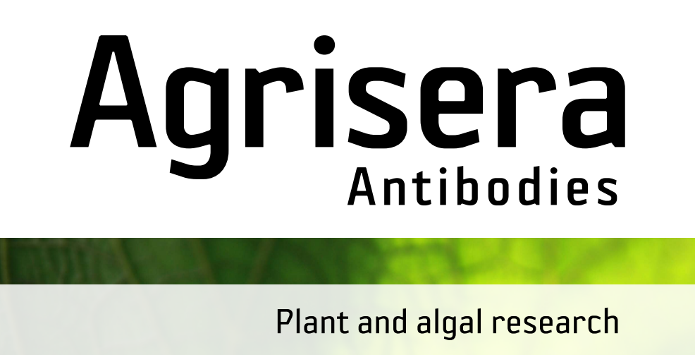 Agrisera MicroRNA相關研究植物蛋白抗體火熱促銷中！